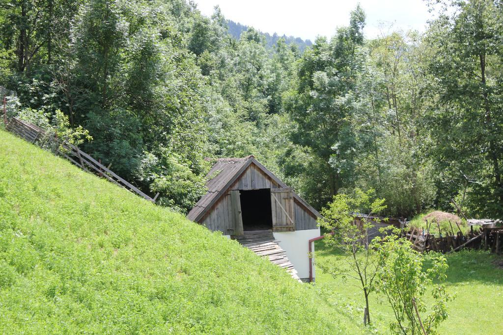 Teo Guesthouse Μπραν Εξωτερικό φωτογραφία