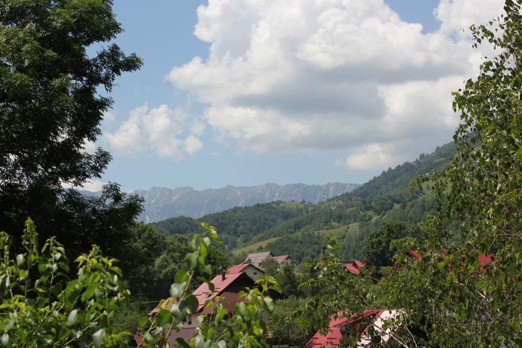 Teo Guesthouse Μπραν Εξωτερικό φωτογραφία